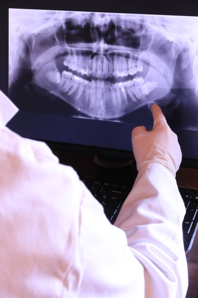 Best Emergency X-Rays and Diagnostics in Parrish, AL