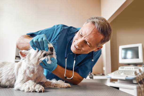 Best After-Hours Dental Care in Parrish, AL