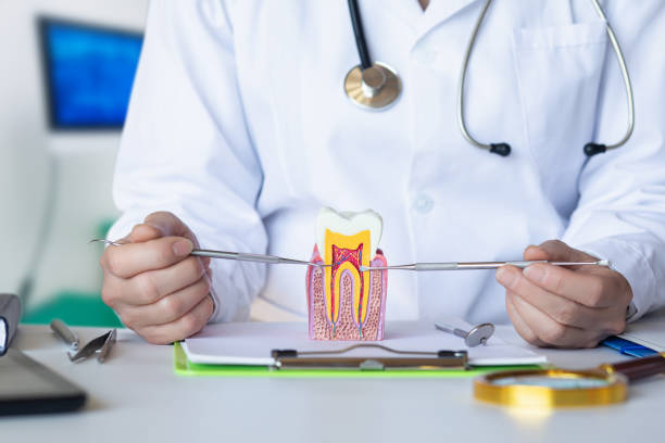 Best Knocked-Out Tooth (Avulsed Tooth) Treatment in Parrish, AL